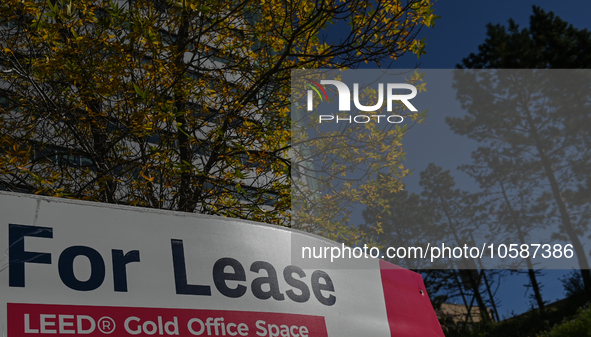 EDMONTON, CANADA - SEPTEMBER 29, 2023:
One of many offices with a sign 'For Lease' seen on September 29, 2023, in Edmonton, Alberta, Canada....