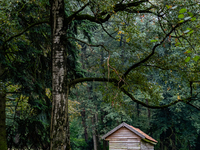 This weekend, the weather was perfect for a walk. Autumn is always a lovely time of the year to explore more of the Dutch countryside and ge...