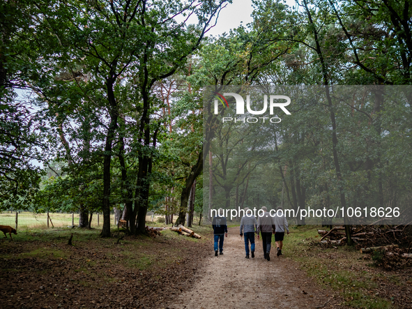 This weekend, the weather was perfect for a walk. Autumn is always a lovely time of the year to explore more of the Dutch countryside and ge...