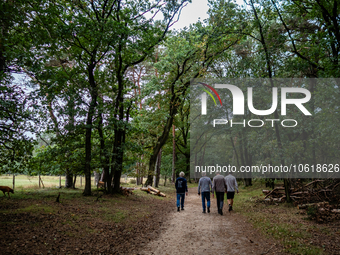 This weekend, the weather was perfect for a walk. Autumn is always a lovely time of the year to explore more of the Dutch countryside and ge...