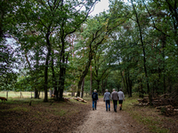 This weekend, the weather was perfect for a walk. Autumn is always a lovely time of the year to explore more of the Dutch countryside and ge...