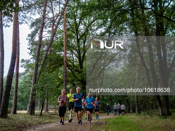 This weekend, the weather was perfect for a walk. Autumn is always a lovely time of the year to explore more of the Dutch countryside and ge...