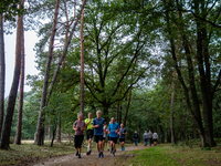 This weekend, the weather was perfect for a walk. Autumn is always a lovely time of the year to explore more of the Dutch countryside and ge...