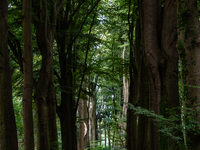 This weekend, the weather was perfect for a walk. Autumn is always a lovely time of the year to explore more of the Dutch countryside and ge...