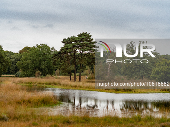 This weekend, the weather was perfect for a walk. Autumn is always a lovely time of the year to explore more of the Dutch countryside and ge...