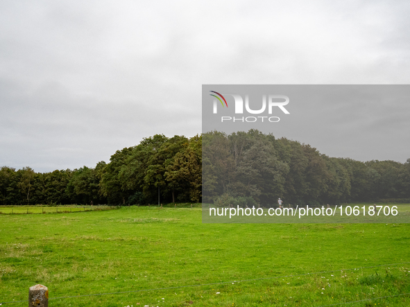 This weekend, the weather was perfect for a walk. Autumn is always a lovely time of the year to explore more of the Dutch countryside and ge...