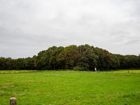 This weekend, the weather was perfect for a walk. Autumn is always a lovely time of the year to explore more of the Dutch countryside and ge...