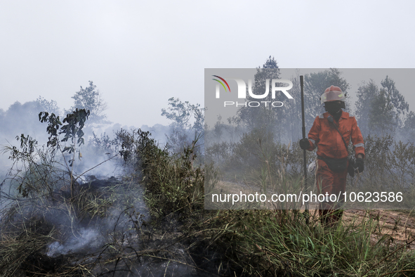 Firefighters from PT Pupuk Sriwidjaja Palembang and Indonesian police personnel from South Sumatra are extinguishing a forest fire in Pulau...