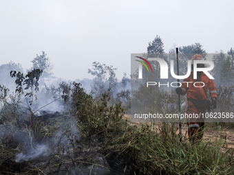 Firefighters from PT Pupuk Sriwidjaja Palembang and Indonesian police personnel from South Sumatra are extinguishing a forest fire in Pulau...