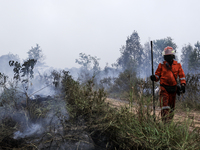 Firefighters from PT Pupuk Sriwidjaja Palembang and Indonesian police personnel from South Sumatra are extinguishing a forest fire in Pulau...