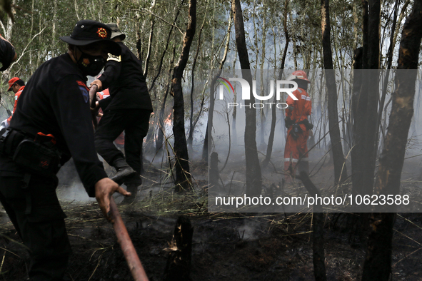 Firefighters from PT Pupuk Sriwidjaja Palembang and Indonesian police personnel from South Sumatra are extinguishing a forest fire in Pulau...