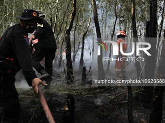 Firefighters from PT Pupuk Sriwidjaja Palembang and Indonesian police personnel from South Sumatra are extinguishing a forest fire in Pulau...