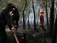 Firefighters from PT Pupuk Sriwidjaja Palembang and Indonesian police personnel from South Sumatra are extinguishing a forest fire in Pulau...