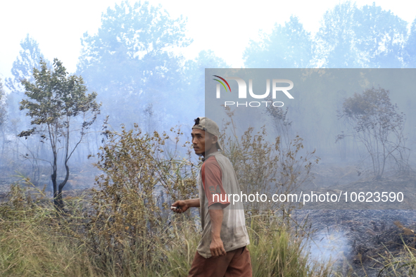 A man walks through a forest fire in Pulau Semambu Village, North Inderalaya District, Ogan Ilir Regency, South Sumatra on Tuesday, October...