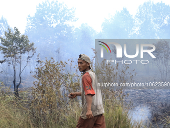 A man walks through a forest fire in Pulau Semambu Village, North Inderalaya District, Ogan Ilir Regency, South Sumatra on Tuesday, October...