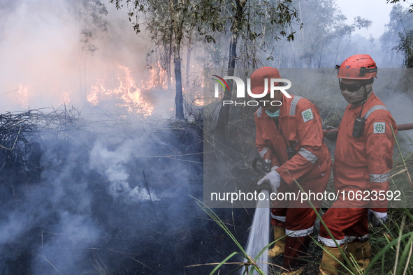 Firefighters from PT Pupuk Sriwidjaja Palembang and Indonesian police personnel from South Sumatra are extinguishing a forest fire in Pulau...