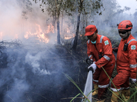 Firefighters from PT Pupuk Sriwidjaja Palembang and Indonesian police personnel from South Sumatra are extinguishing a forest fire in Pulau...