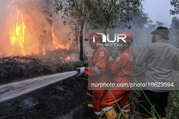 Firefighters from PT Pupuk Sriwidjaja Palembang and Indonesian police personnel from South Sumatra are extinguishing a forest fire in Pulau...