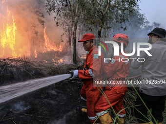 Firefighters from PT Pupuk Sriwidjaja Palembang and Indonesian police personnel from South Sumatra are extinguishing a forest fire in Pulau...