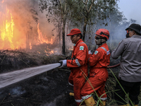 Firefighters from PT Pupuk Sriwidjaja Palembang and Indonesian police personnel from South Sumatra are extinguishing a forest fire in Pulau...