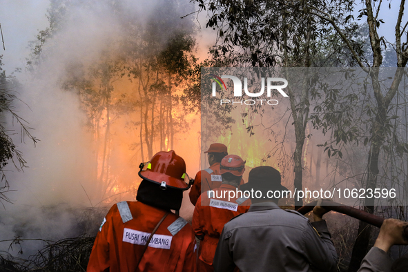 Firefighters from PT Pupuk Sriwidjaja Palembang and Indonesian police personnel from South Sumatra are extinguishing a forest fire in Pulau...