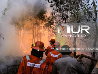 Firefighters from PT Pupuk Sriwidjaja Palembang and Indonesian police personnel from South Sumatra are extinguishing a forest fire in Pulau...