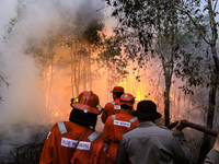 Firefighters from PT Pupuk Sriwidjaja Palembang and Indonesian police personnel from South Sumatra are extinguishing a forest fire in Pulau...