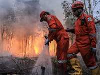 Firefighters from PT Pupuk Sriwidjaja Palembang and Indonesian police personnel from South Sumatra are extinguishing a forest fire in Pulau...