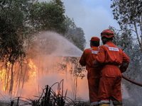 Firefighters from PT Pupuk Sriwidjaja Palembang and Indonesian police personnel from South Sumatra are extinguishing a forest fire in Pulau...