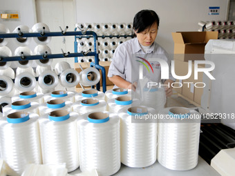 LIANYUNGANG, CHINA - OCTOBER 12, 2023 - A worker works at a workshop of a new materials company in Lianyungang, East China's Jiangsu Provinc...