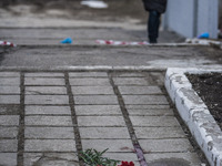 Blood in the location where Yuri Dement, the closest partner of the mayor of Kharkiv, Gennady Kernes, was shot dead near his mother's grave...