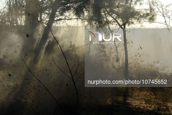 Servicemen of the First Presidential National Guard Brigade of Ukraine BUREVIY (Storm) during a practical exercise at a training ground in n...