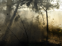 Servicemen of the First Presidential National Guard Brigade of Ukraine BUREVIY (Storm) during a practical exercise at a training ground in n...