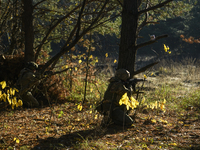 Servicemen of the First Presidential National Guard Brigade of Ukraine BUREVIY (Storm) during a practical exercise at a training ground in n...