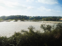 A general view of houses and roads submerged due flood damage in Toscana on November 04, 2023 in Campi Bisenzio, Italy (