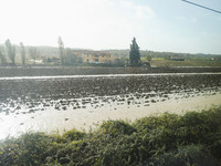 A general view of houses and roads submerged due flood damage in Toscana on November 04, 2023 in Prato, Italy (