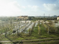 A general view of houses and roads submerged due flood damage in Toscana on November 04, 2023 in Campi Bisenzio, Italy (