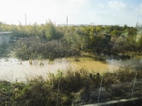 A general view of houses and roads submerged due flood damage in Toscana on November 04, 2023 in Campi Bisenzio, Italy (