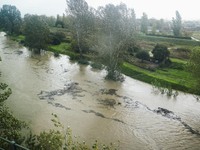 A general view of houses and roads submerged due flood damage in Toscana on November 04, 2023 in Campi Bisenzio, Italy (