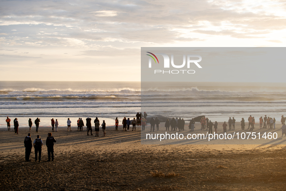 Onlookers gather around the seashore to watch a carcass of a sperm whale which was washed up on the shores at New Brighton, a coastal suburb...