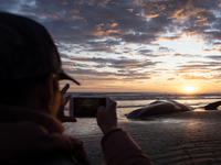 An onlooker takes pictures of a sperm whale which was washed up on the shores at New Brighton, a coastal suburb of Christchurch, New Zealand...