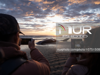 Onlookers take pictures of a sperm whale which was washed up on the shores at New Brighton, a coastal suburb of Christchurch, New Zealand on...