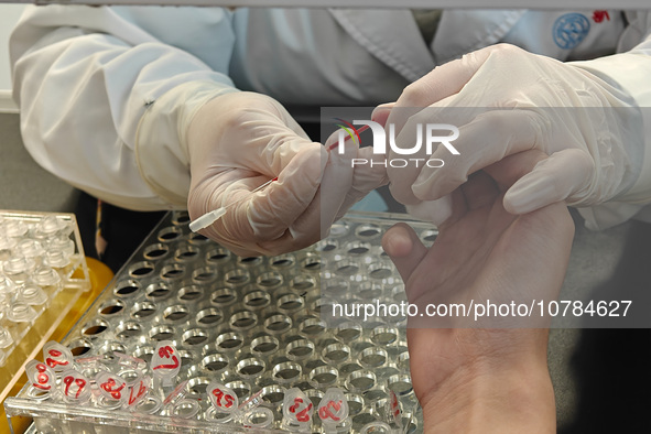 SHANGHAI, CHINA - NOVEMBER 14, 2023 - A doctor draws blood from a patient's finger at a hospital emergency department in Shanghai, China, No...