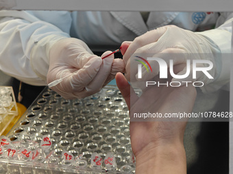 SHANGHAI, CHINA - NOVEMBER 14, 2023 - A doctor draws blood from a patient's finger at a hospital emergency department in Shanghai, China, No...