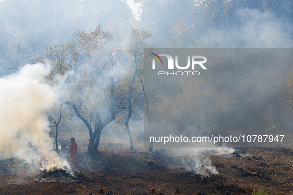 CalFire manages a prescribed controlled burn in Northern Calif. on Tuesday, November 14, 2023. Controlled burns are taking place across Cali...