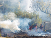 CalFire manages a prescribed controlled burn in Northern Calif. on Tuesday, November 14, 2023. Controlled burns are taking place across Cali...