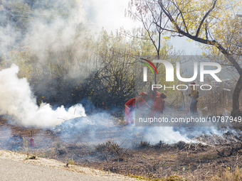 CalFire manages a prescribed controlled burn in Northern Calif. on Tuesday, November 14, 2023. Controlled burns are taking place across Cali...