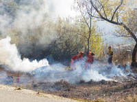 CalFire manages a prescribed controlled burn in Northern Calif. on Tuesday, November 14, 2023. Controlled burns are taking place across Cali...