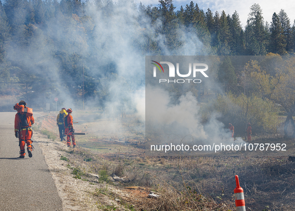 CalFire manages a prescribed controlled burn in Northern Calif. on Tuesday, November 14, 2023. Controlled burns are taking place across Cali...