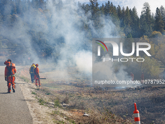 CalFire manages a prescribed controlled burn in Northern Calif. on Tuesday, November 14, 2023. Controlled burns are taking place across Cali...